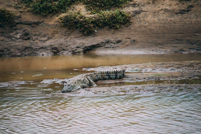Yala Safari Private Day Trip with Return Transport -All Inclusive - Four hours inside Yala National Park