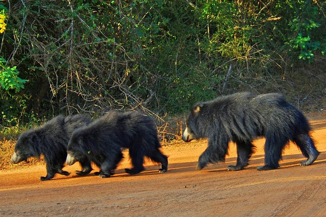 Yala Safari Private Day Trip with Return Transport -All Inclusive - What the private price really includes