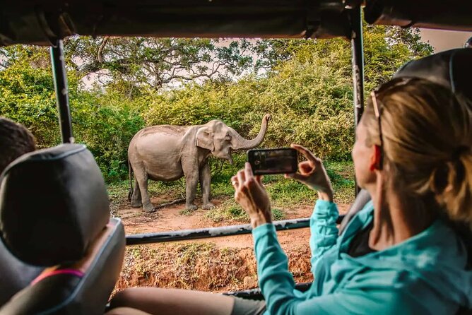 Yala Safari Tour from Hambantota Port by Ajith Safaris - Key points to know before booking