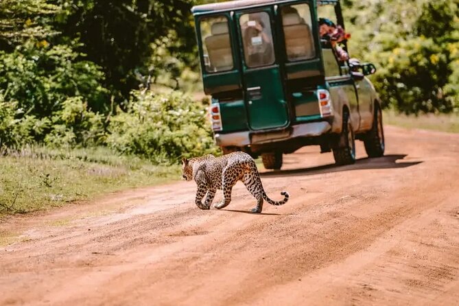 Yala Safari Tour from Hambantota Port by Ajith Safaris - Meeting your guide at Hambantota Port