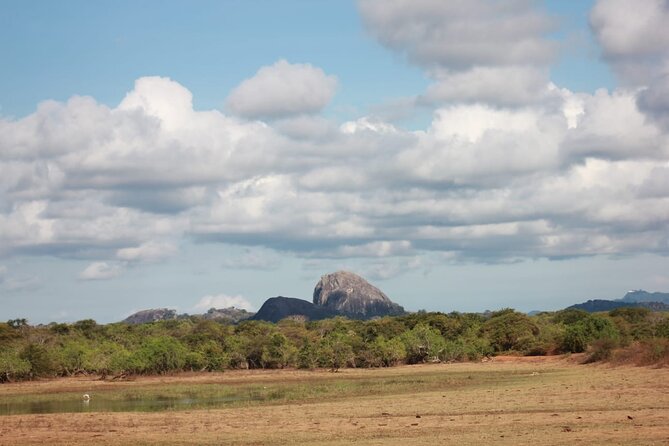 Yala safari Tours Morning /Afternoon /Fullday - Price, group size, and the entrance-fee question